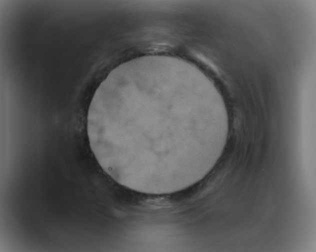 X0000088471447200706191339