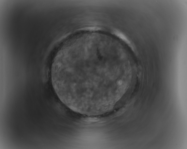 X0000088471448200706191339