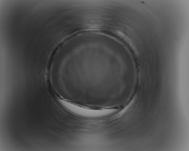 X0000088471449200706191339