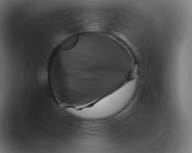 X0000088471450200706191339