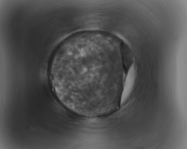 X0000088471452200706191339