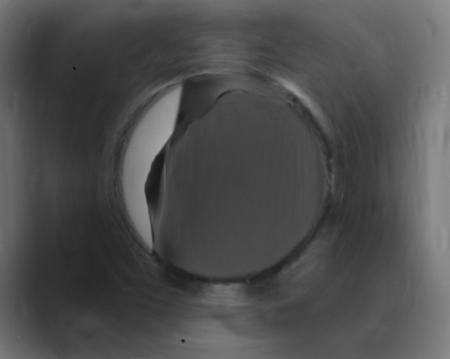 X0000088471453200706191339