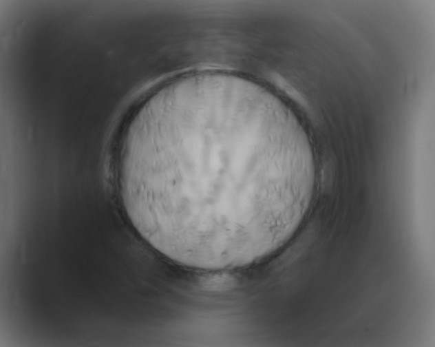 X0000088471454200706191339