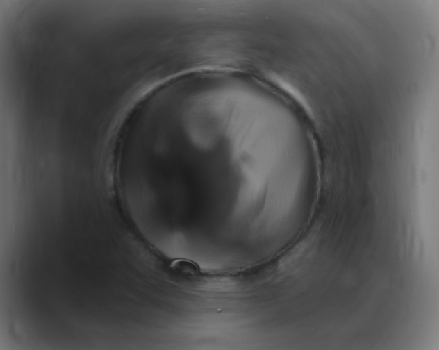 X0000088471455200706191339