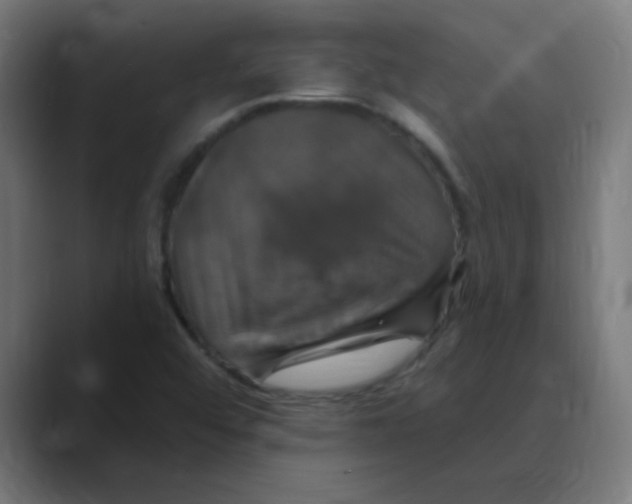 X0000088471456200706191339