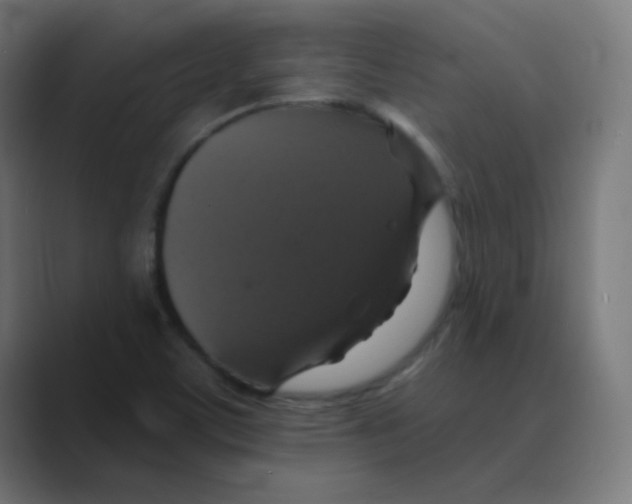 X0000088471459200706191339