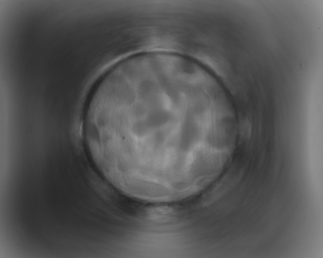 X0000088471462200706191339