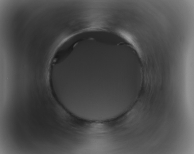 X0000088471463200706191338