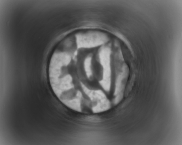 X0000088471464200706191338