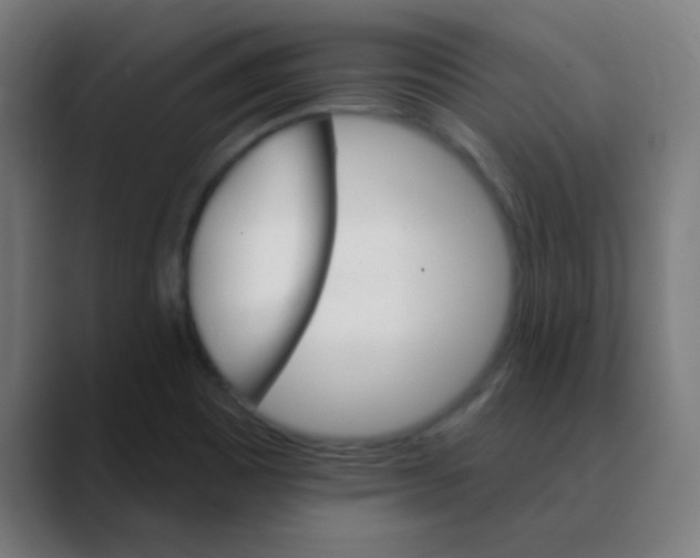 X0000088471465200706191338