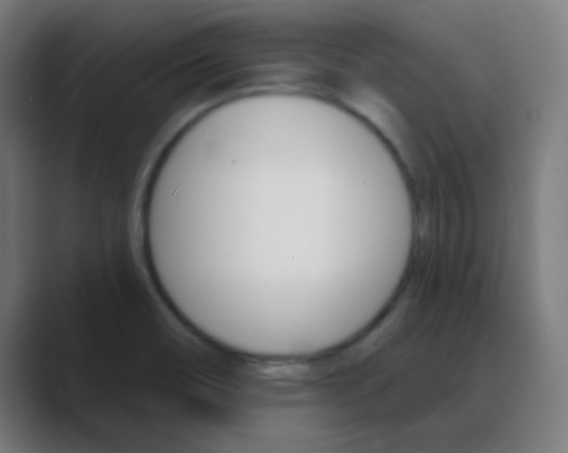 X0000088471466200706191338