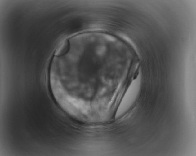 X0000088471467200706191338