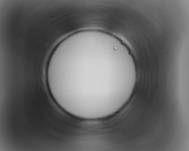 X0000088471468200706191338