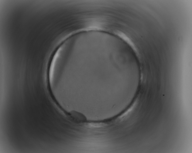 X0000088471469200706191338