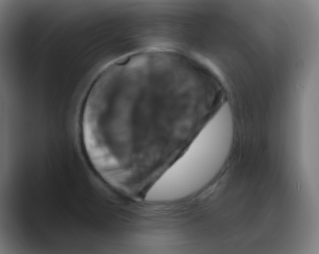 X0000088471471200706191338