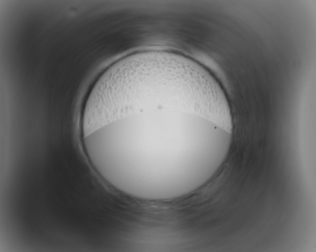 X0000088471472200706191338