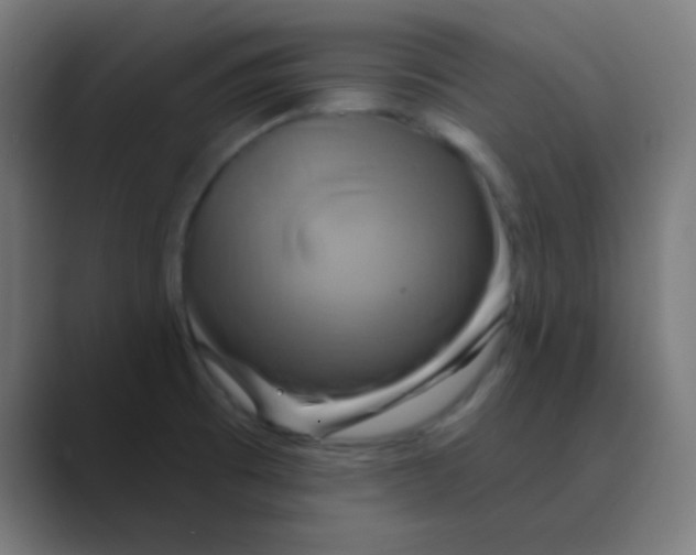 X0000088471473200706191338