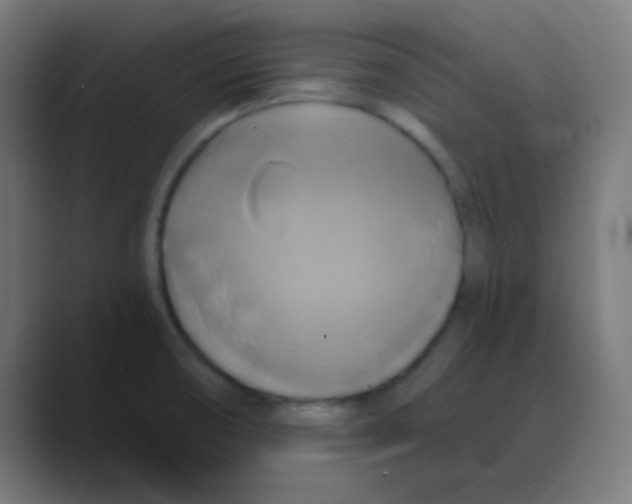 X0000088471474200706191338