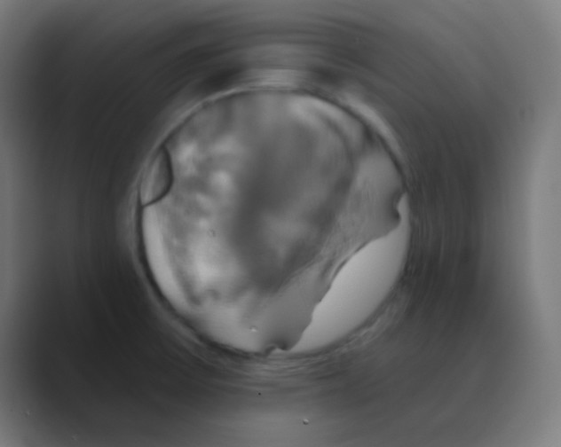 X0000088471475200706191338