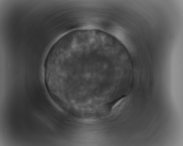 X0000088471476200706191338