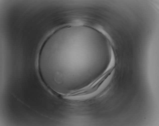 X0000088471477200706191338