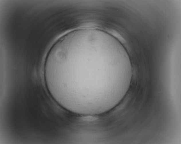 X0000088471478200706191338