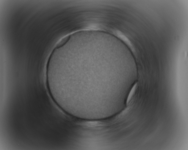 X0000088471479200706191338