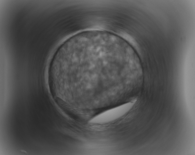 X0000088471480200706191338