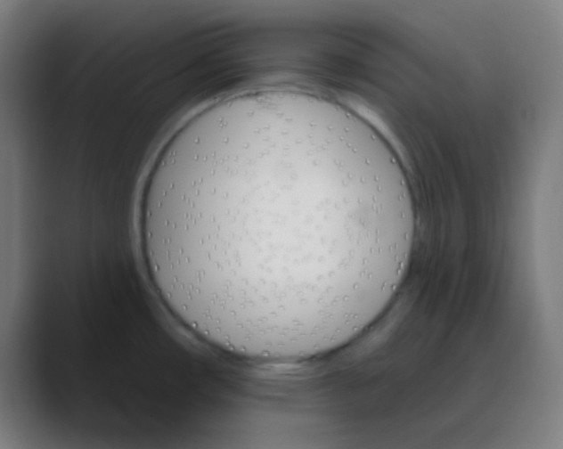 X0000088471482200706191338