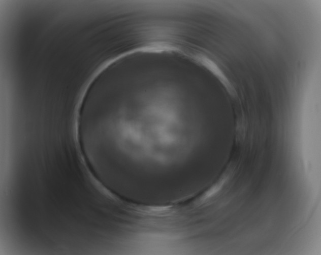 X0000088471484200706191338