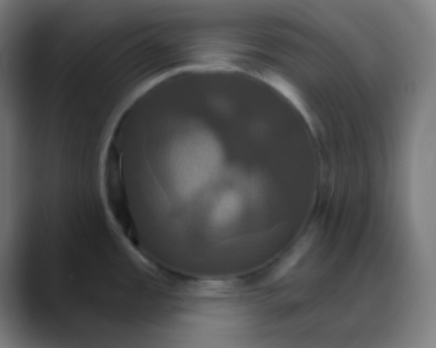 X0000088471485200706191338