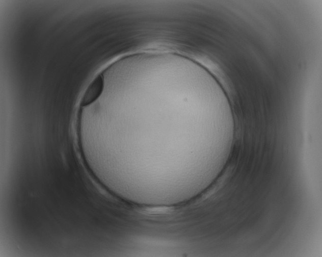 X0000088471486200706191338