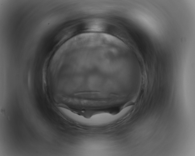 X0000088471487200706191338