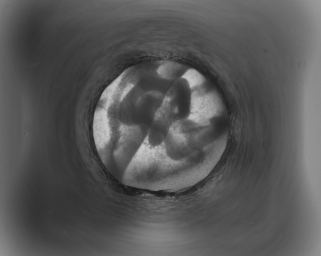 X0000088471489200706191337