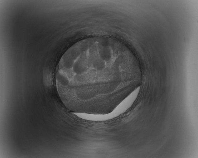 X0000088471490200706191337