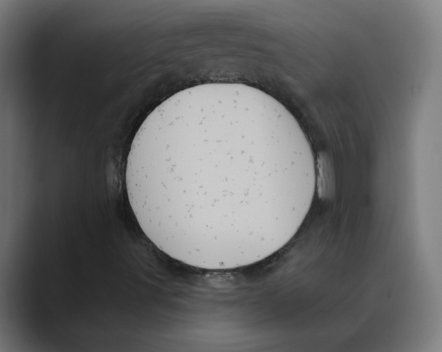 X0000088471491200706191338