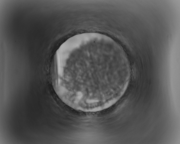 X0000088471494200706191338