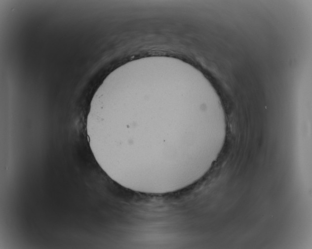 X0000088471495200706191338