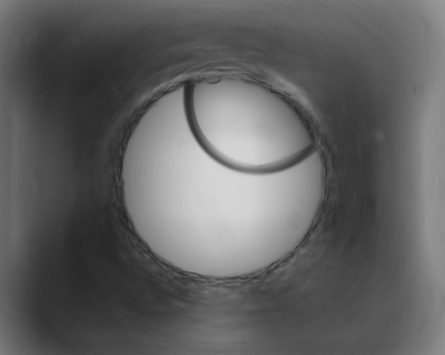 X0000088471496200706191338