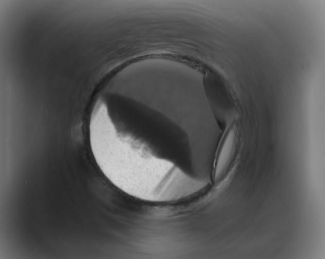 X0000088471497200706191338