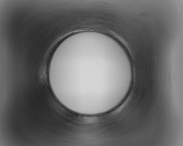 X0000088471498200706191338