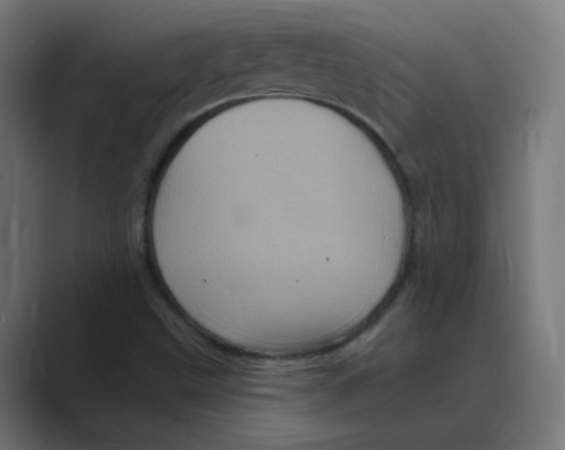 X0000088471499200706191338