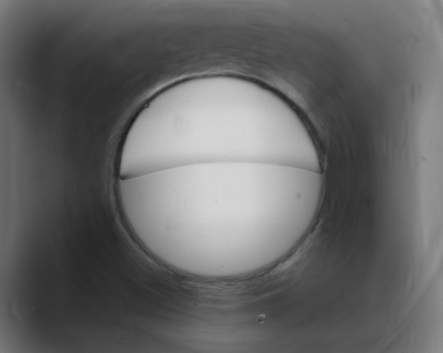 X0000088471500200706191338