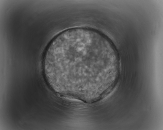 X0000088471501200706191338