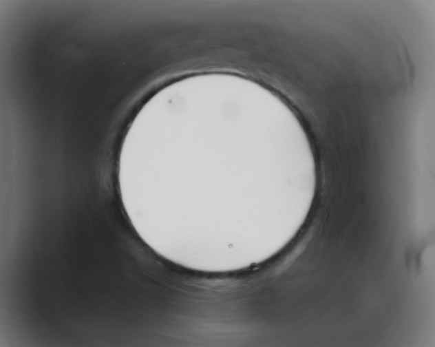 X0000088471502200706191338