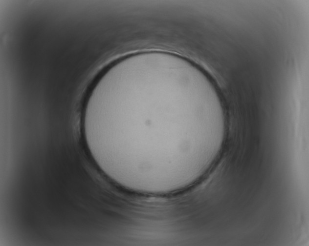 X0000088471503200706191338