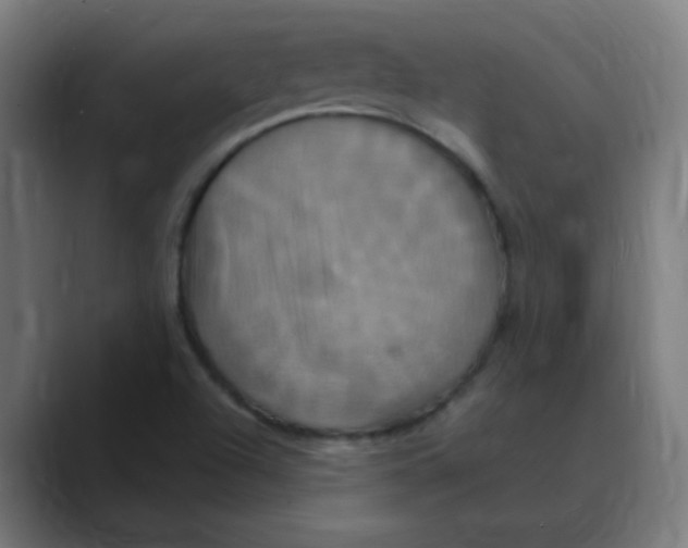 X0000088471504200706191338