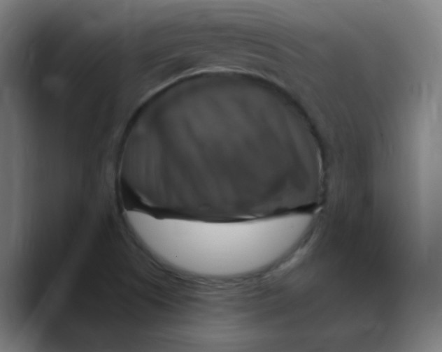 X0000088471505200706191338