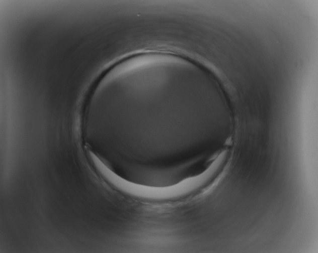 X0000088471506200706191338