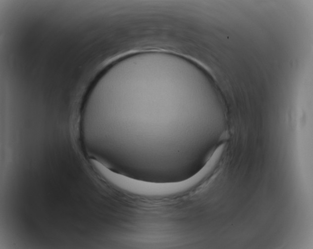 X0000088471507200706191338